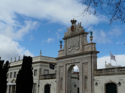 Romantiek, fauna en flora_10
